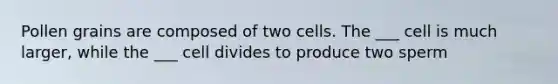 Pollen grains are composed of two cells. The ___ cell is much larger, while the ___ cell divides to produce two sperm