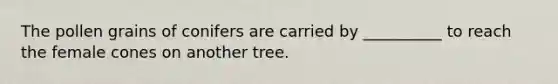 The pollen grains of conifers are carried by __________ to reach the female cones on another tree.