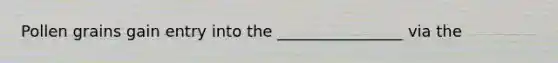 Pollen grains gain entry into the ________________ via the