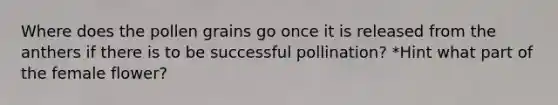 Where does the pollen grains go once it is released from the anthers if there is to be successful pollination? *Hint what part of the female flower?