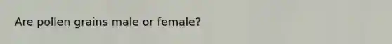 Are pollen grains male or female?