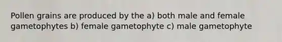 Pollen grains are produced by the a) both male and female gametophytes b) female gametophyte c) male gametophyte