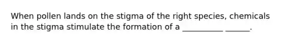 When pollen lands on the stigma of the right species, chemicals in the stigma stimulate the formation of a __________ ______.