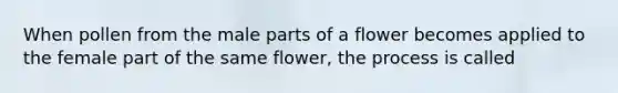 When pollen from the male parts of a flower becomes applied to the female part of the same flower, the process is called