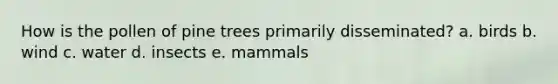 How is the pollen of pine trees primarily disseminated? a. birds b. wind c. water d. insects e. mammals