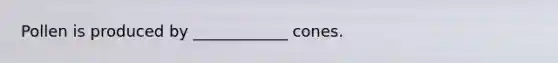 Pollen is produced by ____________ cones.