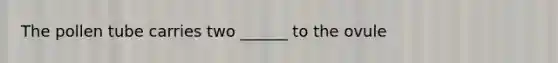 The pollen tube carries two ______ to the ovule