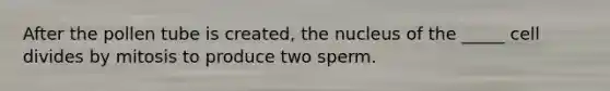 After the pollen tube is created, the nucleus of the _____ cell divides by mitosis to produce two sperm.
