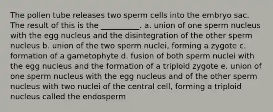 The pollen tube releases two sperm cells into the embryo sac. The result of this is the __________. a. union of one sperm nucleus with the egg nucleus and the disintegration of the other sperm nucleus b. union of the two sperm nuclei, forming a zygote c. formation of a gametophyte d. fusion of both sperm nuclei with the egg nucleus and the formation of a triploid zygote e. union of one sperm nucleus with the egg nucleus and of the other sperm nucleus with two nuclei of the central cell, forming a triploid nucleus called the endosperm