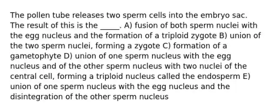 The pollen tube releases two sperm cells into the embryo sac. The result of this is the _____. A) fusion of both sperm nuclei with the egg nucleus and the formation of a triploid zygote B) union of the two sperm nuclei, forming a zygote C) formation of a gametophyte D) union of one sperm nucleus with the egg nucleus and of the other sperm nucleus with two nuclei of the central cell, forming a triploid nucleus called the endosperm E) union of one sperm nucleus with the egg nucleus and the disintegration of the other sperm nucleus