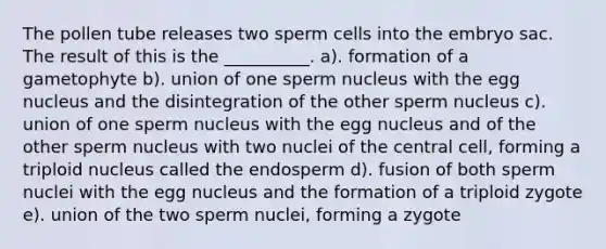 The pollen tube releases two sperm cells into the embryo sac. The result of this is the __________. a). formation of a gametophyte b). union of one sperm nucleus with the egg nucleus and the disintegration of the other sperm nucleus c). union of one sperm nucleus with the egg nucleus and of the other sperm nucleus with two nuclei of the central cell, forming a triploid nucleus called the endosperm d). fusion of both sperm nuclei with the egg nucleus and the formation of a triploid zygote e). union of the two sperm nuclei, forming a zygote