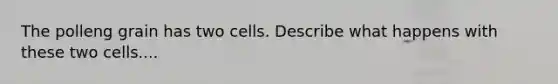 The polleng grain has two cells. Describe what happens with these two cells....