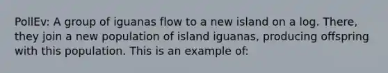 PollEv: A group of iguanas flow to a new island on a log. There, they join a new population of island iguanas, producing offspring with this population. This is an example of: