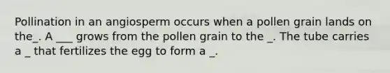 Pollination in an angiosperm occurs when a pollen grain lands on the_. A ___ grows from the pollen grain to the _. The tube carries a _ that fertilizes the egg to form a _.