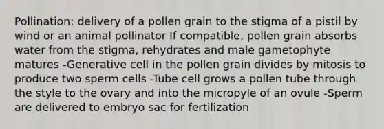 Pollination: delivery of a pollen grain to the stigma of a pistil by wind or an animal pollinator If compatible, pollen grain absorbs water from the stigma, rehydrates and male gametophyte matures -Generative cell in the pollen grain divides by mitosis to produce two sperm cells -Tube cell grows a pollen tube through the style to the ovary and into the micropyle of an ovule -Sperm are delivered to embryo sac for fertilization