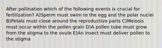 After pollination which of the following events is crucial for fertilization? A)Sperm must swim to the egg and the polar nuclei B)Petals must close around the reproductive parts C)Meiosis must occur within the pollen grain D)A pollen tube must grow from the stigma to the ovule E)An insect must deliver pollen to the stigma