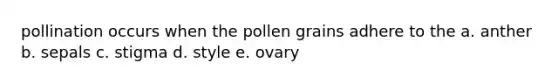 pollination occurs when the pollen grains adhere to the a. anther b. sepals c. stigma d. style e. ovary