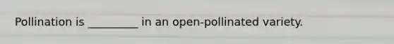 Pollination is _________ in an open-pollinated variety.