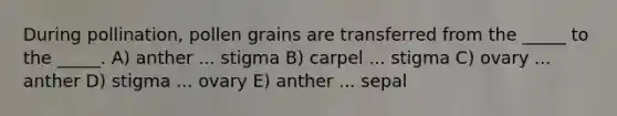 During pollination, pollen grains are transferred from the _____ to the _____. A) anther ... stigma B) carpel ... stigma C) ovary ... anther D) stigma ... ovary E) anther ... sepal