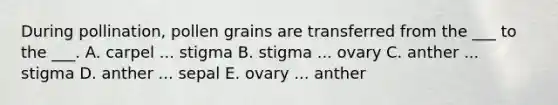 During pollination, pollen grains are transferred from the ___ to the ___. A. carpel ... stigma B. stigma ... ovary C. anther ... stigma D. anther ... sepal E. ovary ... anther