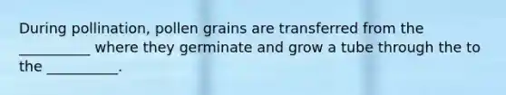 During pollination, pollen grains are transferred from the __________ where they germinate and grow a tube through the to the __________.