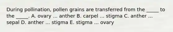 During pollination, pollen grains are transferred from the _____ to the _____. A. ovary ... anther B. carpel ... stigma C. anther ... sepal D. anther ... stigma E. stigma ... ovary