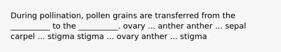 During pollination, pollen grains are transferred from the __________ to the __________. ovary ... anther anther ... sepal carpel ... stigma stigma ... ovary anther ... stigma