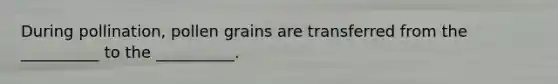 During pollination, pollen grains are transferred from the __________ to the __________.