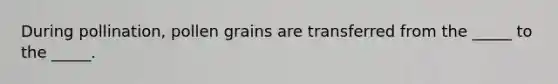 During pollination, pollen grains are transferred from the _____ to the _____.