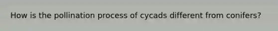 How is the pollination process of cycads different from conifers?