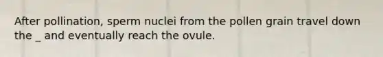 After pollination, sperm nuclei from the pollen grain travel down the _ and eventually reach the ovule.