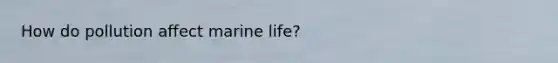 How do pollution affect marine life?