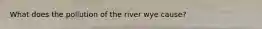 What does the pollution of the river wye cause?