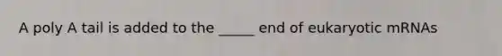 A poly A tail is added to the _____ end of eukaryotic mRNAs