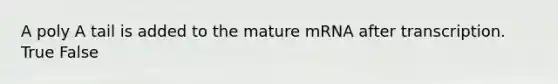 A poly A tail is added to the mature mRNA after transcription. True False