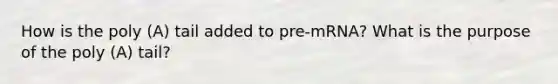 How is the poly (A) tail added to pre-mRNA? What is the purpose of the poly (A) tail?