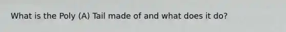 What is the Poly (A) Tail made of and what does it do?