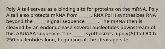 Poly A tail serves as a binding site for proteins on the mRNA. Poly A tail also protects mRNA from _____. RNA Pol II synthesizes RNA beyond the _____ signal sequence _____. The mRNA then is cleaved by an endonuclease several nucleotides downstream of this AAUAAA sequence. The _____ synthesizes a poly(A) tail 80 to 250 nucleotides long, beginning at the cleavage site.