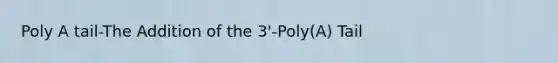 Poly A tail-The Addition of the 3'-Poly(A) Tail