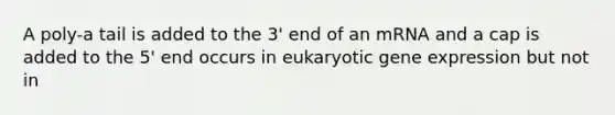 A poly-a tail is added to the 3' end of an mRNA and a cap is added to the 5' end occurs in eukaryotic <a href='https://www.questionai.com/knowledge/kFtiqWOIJT-gene-expression' class='anchor-knowledge'>gene expression</a> but not in