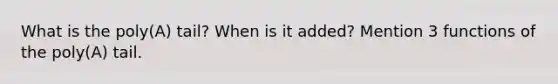 What is the poly(A) tail? When is it added? Mention 3 functions of the poly(A) tail.