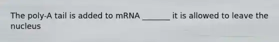 The poly-A tail is added to mRNA _______ it is allowed to leave the nucleus