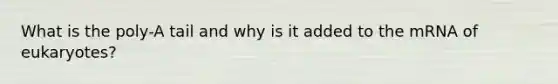 What is the poly-A tail and why is it added to the mRNA of eukaryotes?