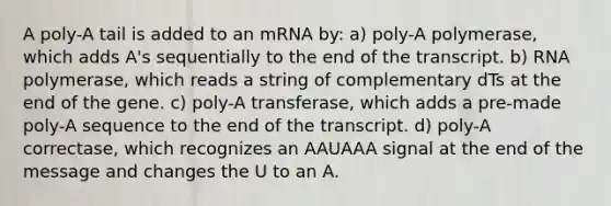 A poly-A tail is added to an mRNA by: a) poly-A polymerase, which adds A's sequentially to the end of the transcript. b) RNA polymerase, which reads a string of complementary dTs at the end of the gene. c) poly-A transferase, which adds a pre-made poly-A sequence to the end of the transcript. d) poly-A correctase, which recognizes an AAUAAA signal at the end of the message and changes the U to an A.