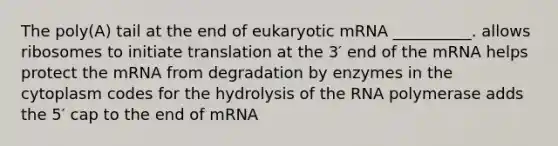 The poly(A) tail at the end of eukaryotic mRNA __________. allows ribosomes to initiate translation at the 3′ end of the mRNA helps protect the mRNA from degradation by enzymes in the cytoplasm codes for the hydrolysis of the RNA polymerase adds the 5′ cap to the end of mRNA