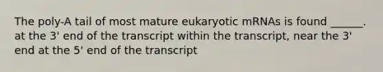 The poly-A tail of most mature eukaryotic mRNAs is found ______. at the 3' end of the transcript within the transcript, near the 3' end at the 5' end of the transcript