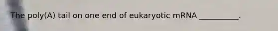 The poly(A) tail on one end of eukaryotic mRNA __________.