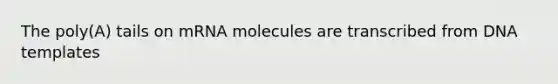 The poly(A) tails on mRNA molecules are transcribed from DNA templates