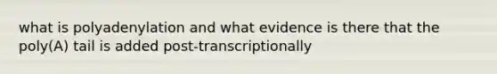 what is polyadenylation and what evidence is there that the poly(A) tail is added post-transcriptionally