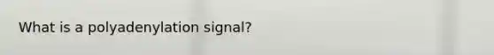 What is a polyadenylation signal?